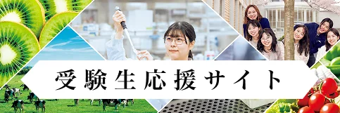 受験生応援サイト