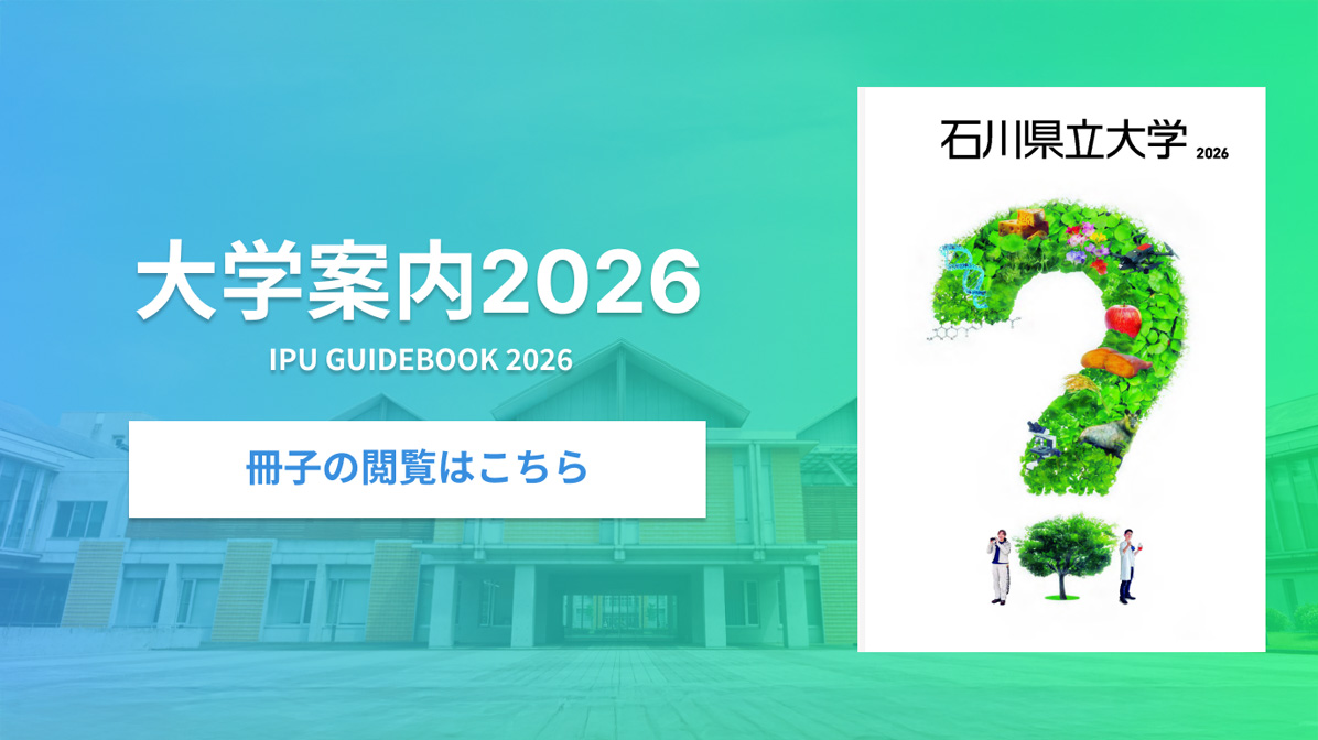大学案内パンフレット