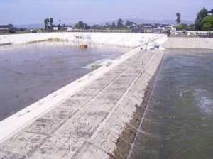 浸透型洪水調整池の機能評価