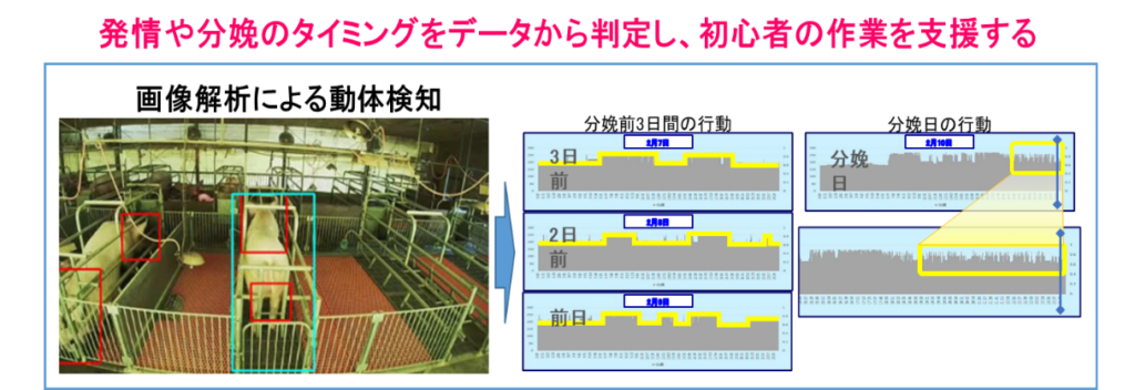 画像解析による動体検知