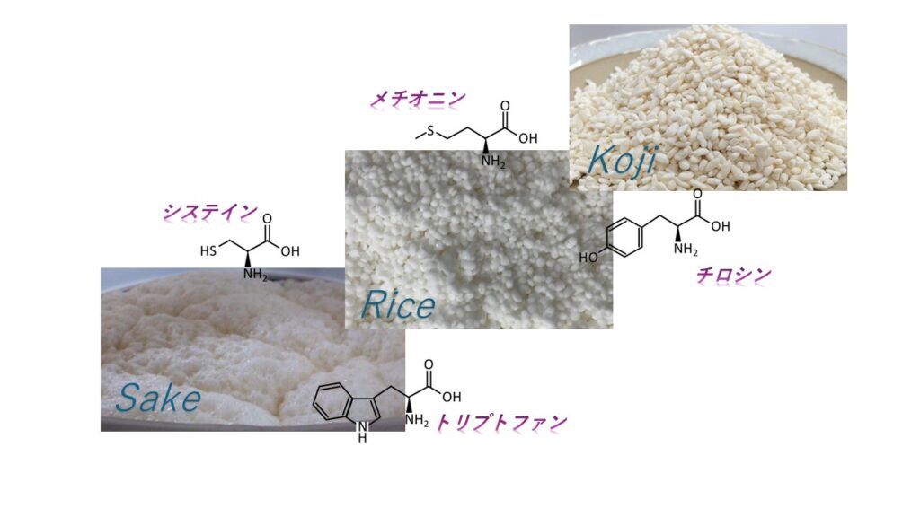 日本酒抗酸化性