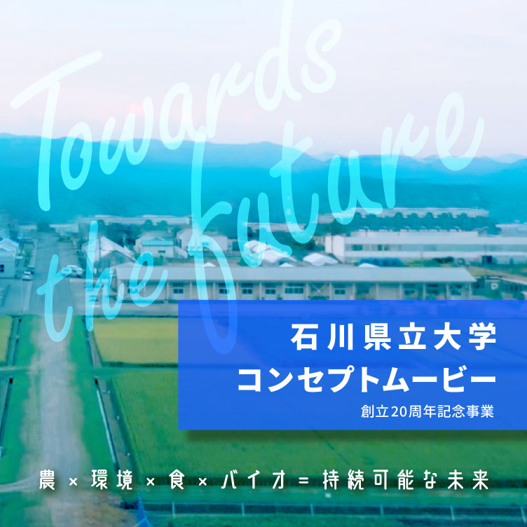 スライダー画像：YouTube